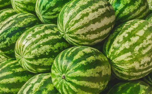 吃瓜网每日大赛 吃瓜网站,揭秘热门事件背后的真相与笑料